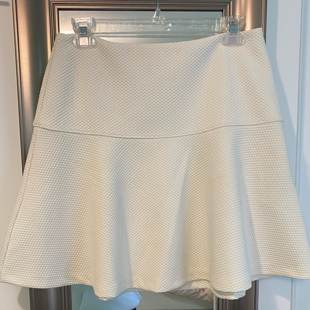 Banana Republic Mini Skirt